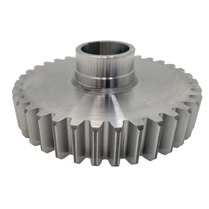 m2-ground-spur-gear12137864247 m2-ground-spur-gear12137864247